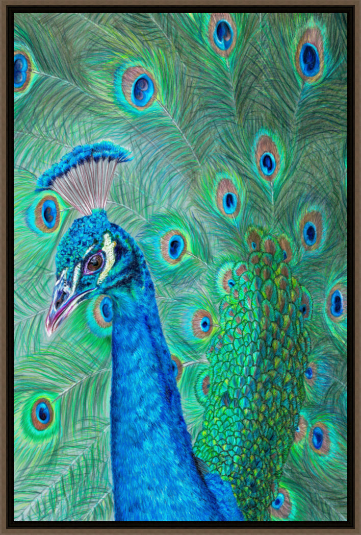 "The Eyes Have It" Canvas Print