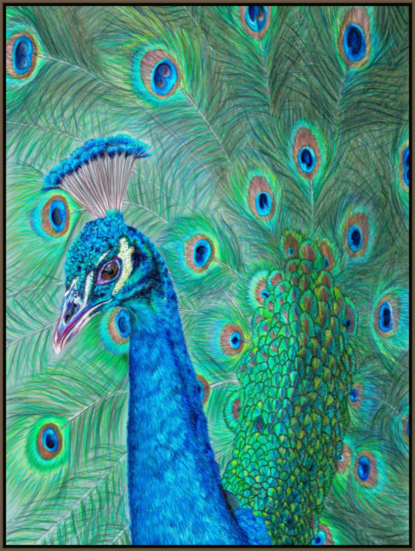 "The Eyes Have It" Canvas Print