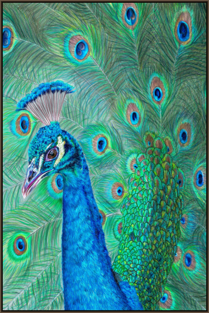 "The Eyes Have It" Canvas Print