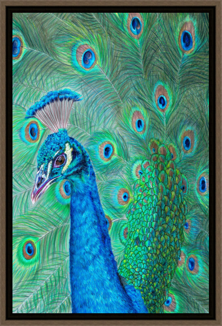 "The Eyes Have It" Canvas Print