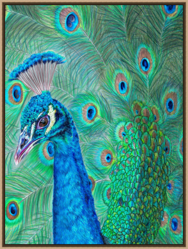 "The Eyes Have It" Canvas Print