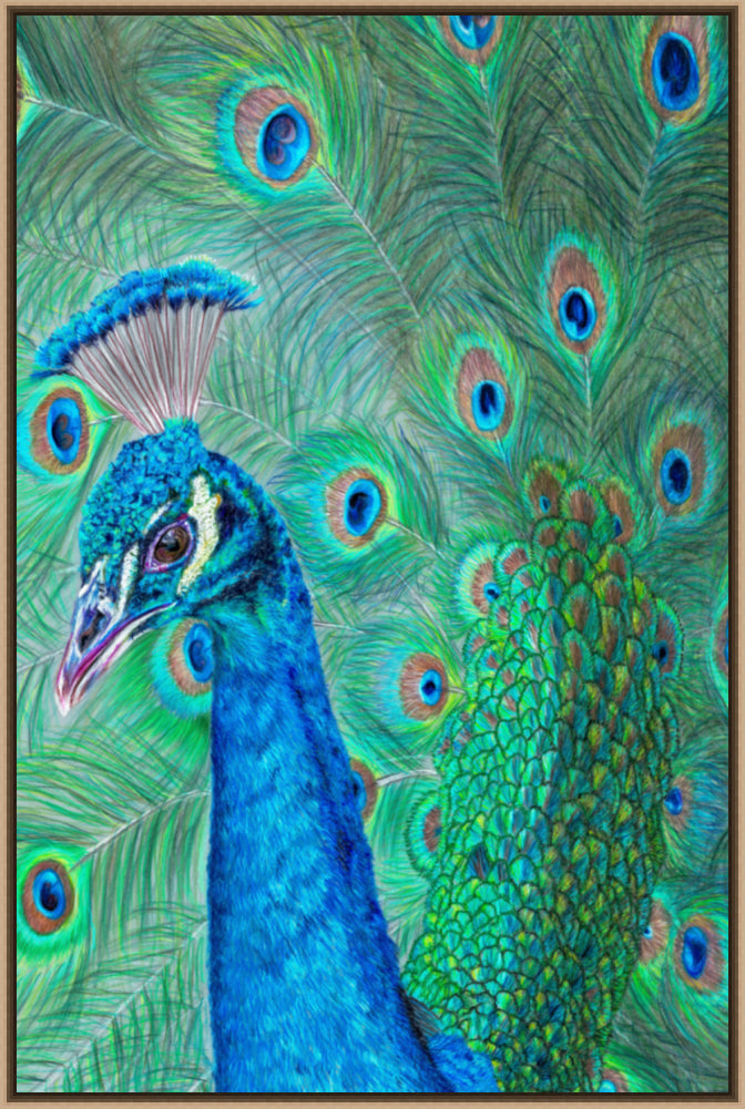 "The Eyes Have It" Canvas Print