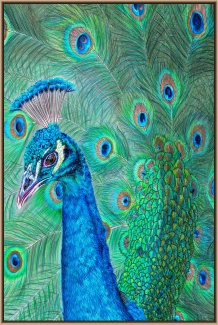 "The Eyes Have It" Canvas Print