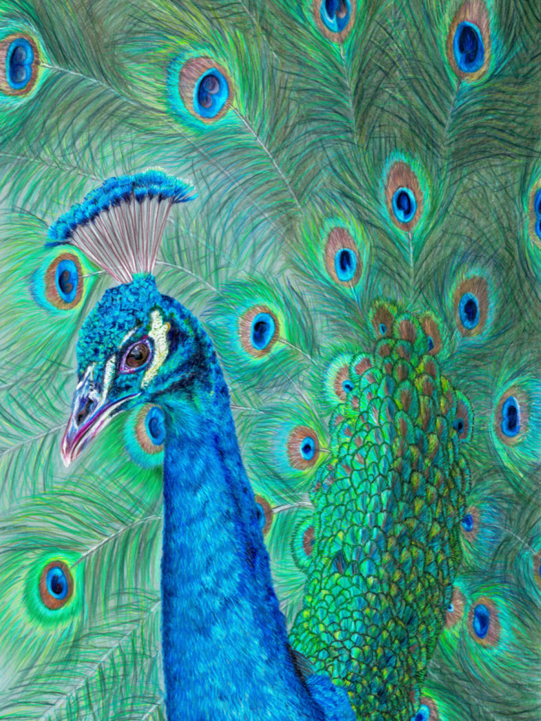 "The Eyes Have It" Canvas Print