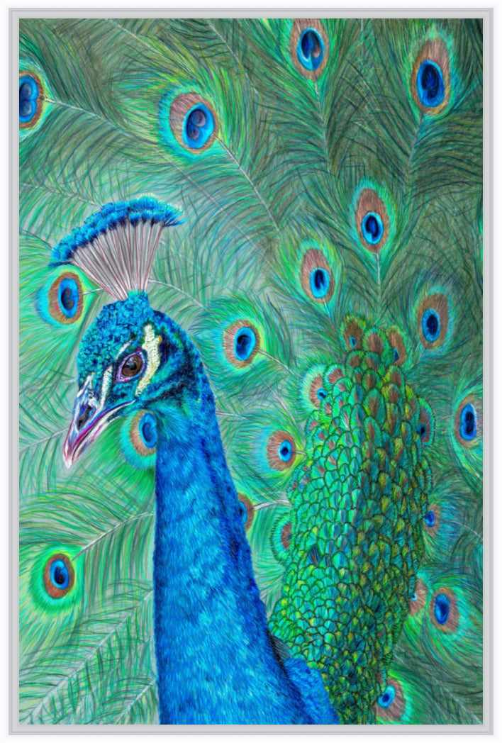 "The Eyes Have It" Canvas Print