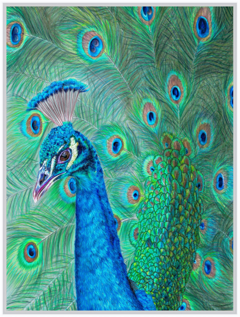 "The Eyes Have It" Canvas Print