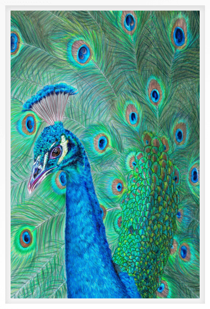 "The Eyes Have It" Canvas Print