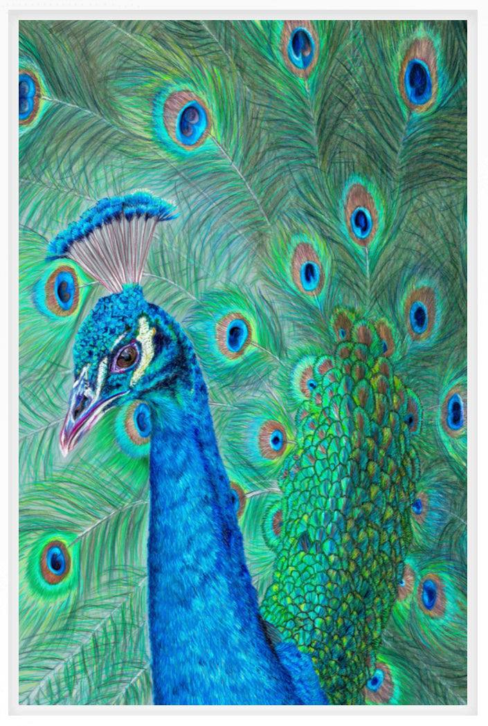 "The Eyes Have It" Canvas Print