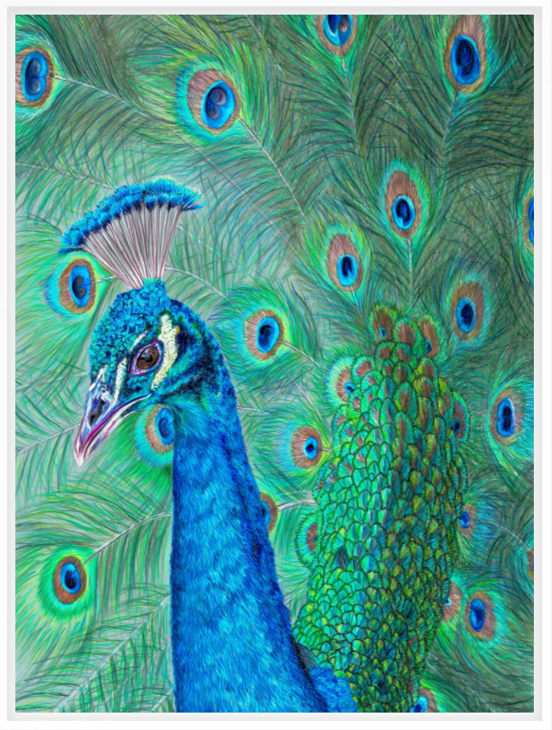 "The Eyes Have It" Canvas Print