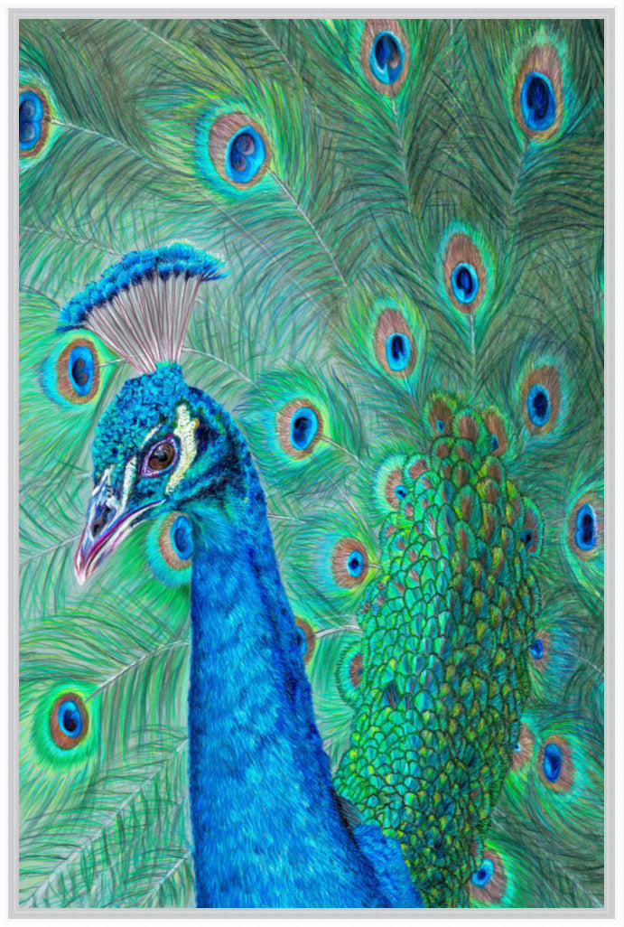 "The Eyes Have It" Canvas Print