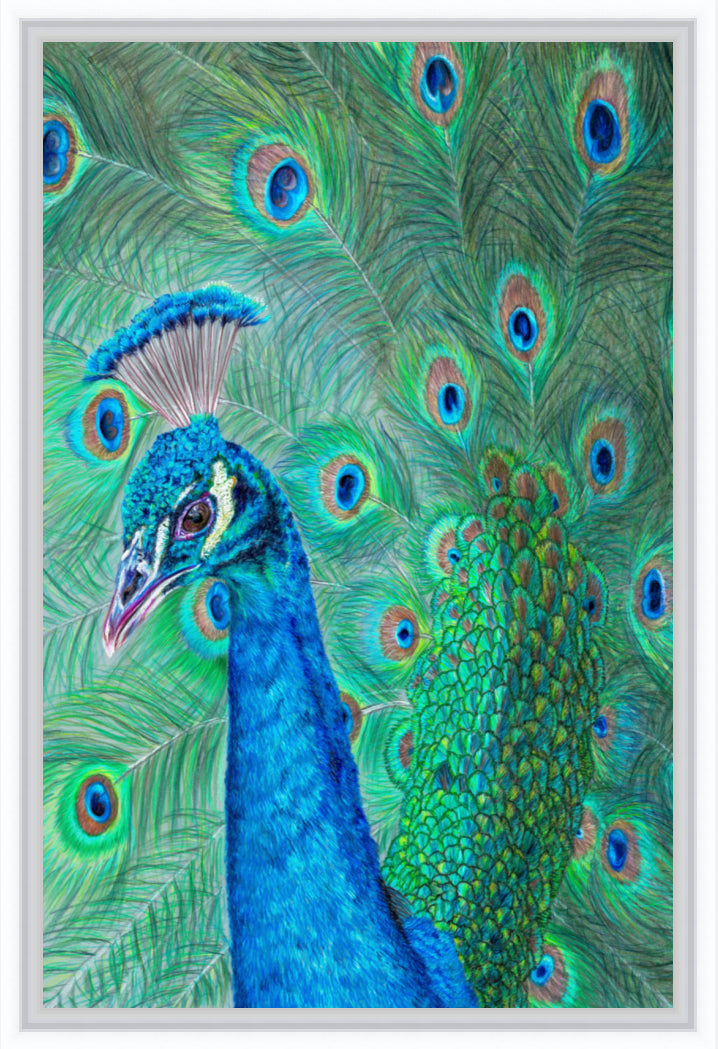 "The Eyes Have It" Canvas Print