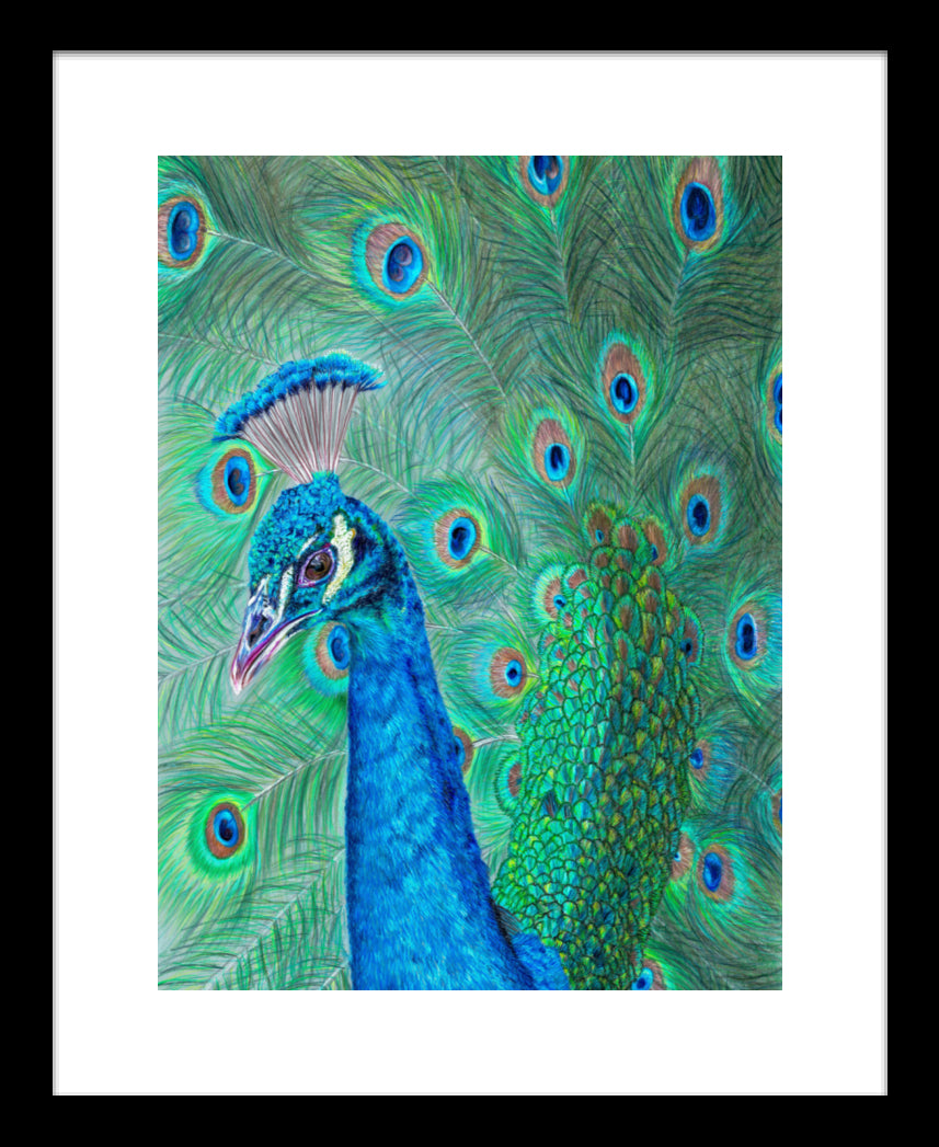 "The Eyes Have It" Framed Fine Art Print