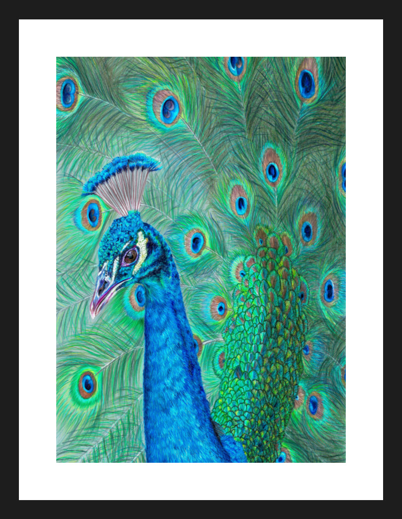 "The Eyes Have It" Framed Fine Art Print