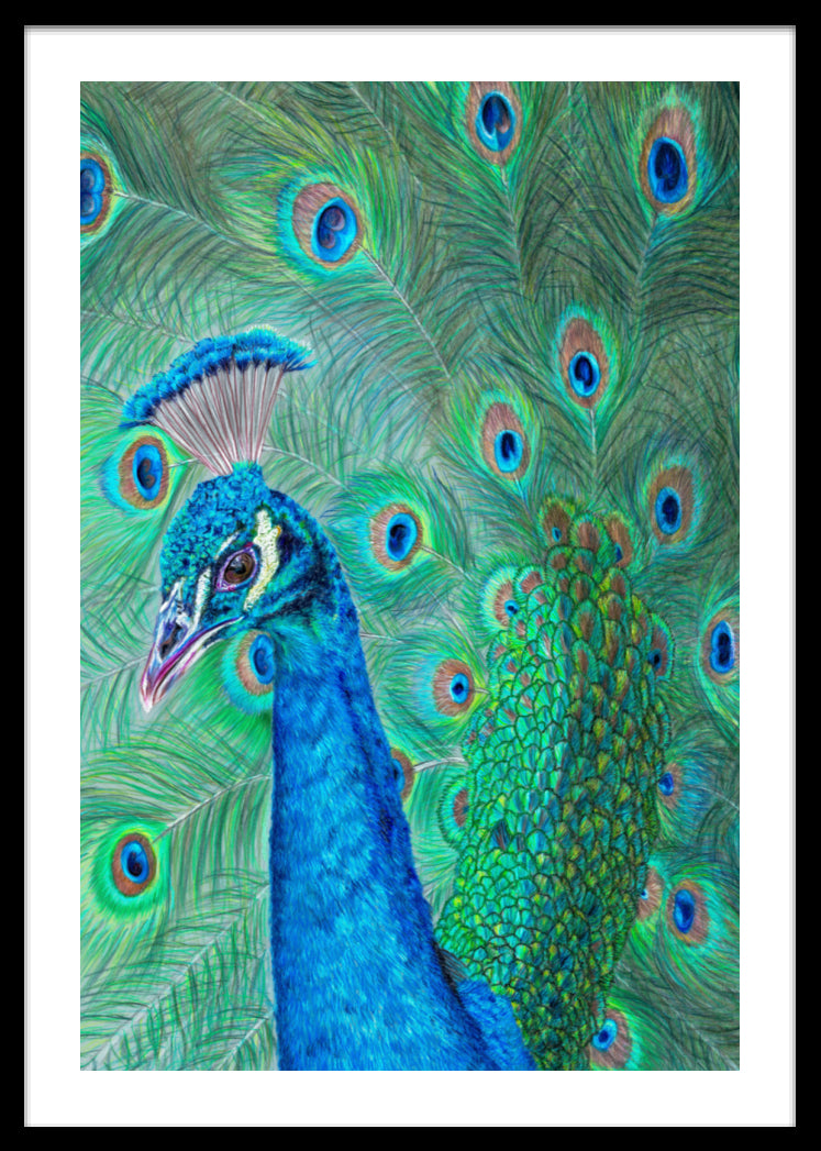 "The Eyes Have It" Framed Fine Art Print