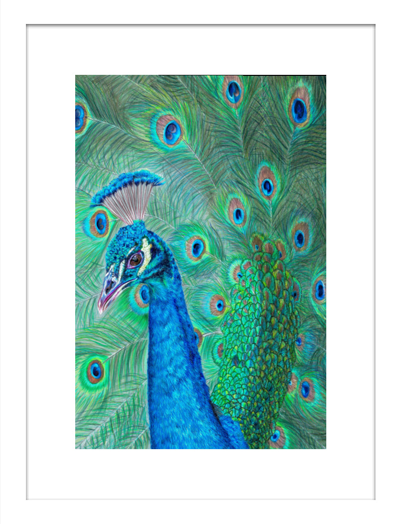 "The Eyes Have It" Framed Fine Art Print