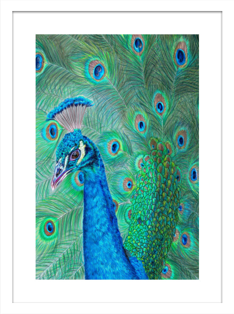 "The Eyes Have It" Framed Fine Art Print