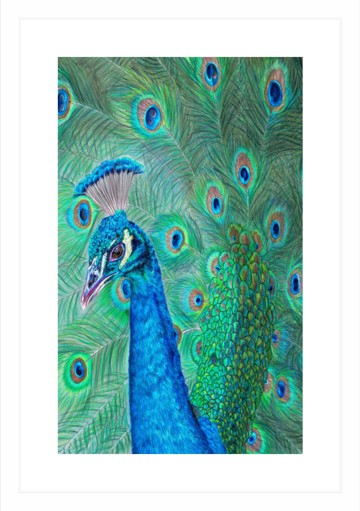 "The Eyes Have It" Framed Fine Art Print