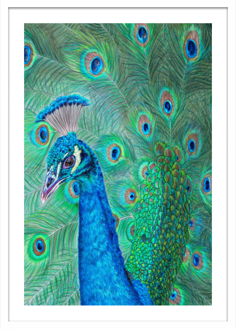 "The Eyes Have It" Framed Fine Art Print