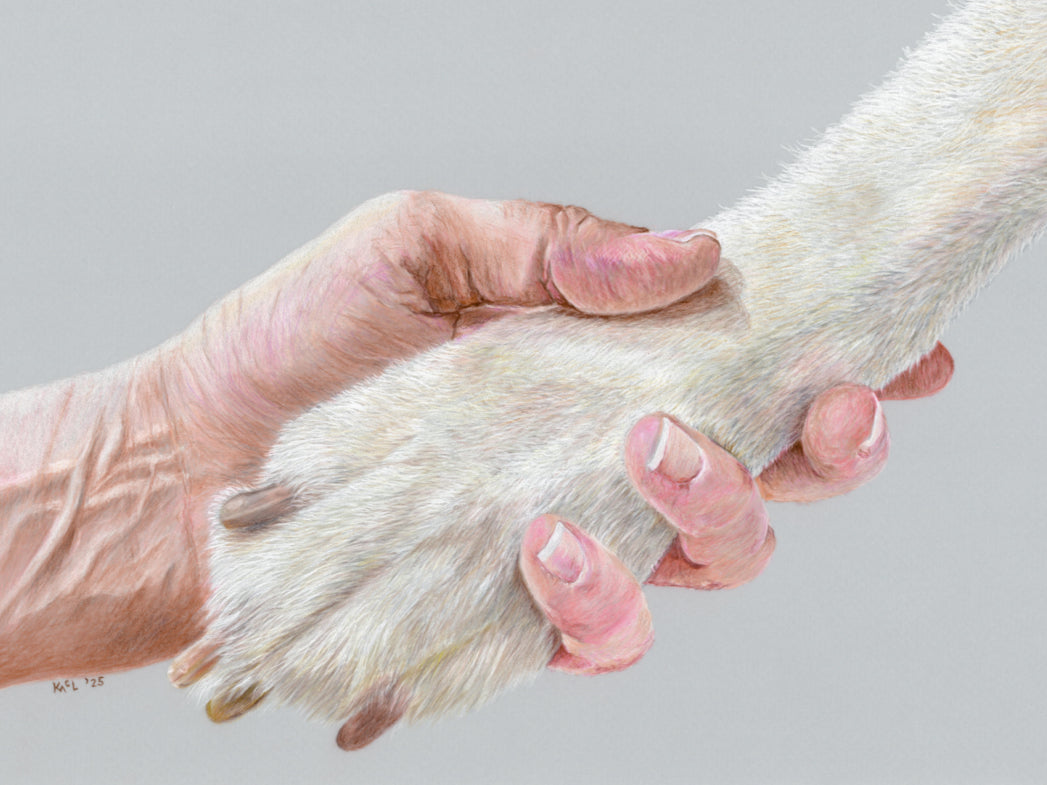 "Together" Canvas Print