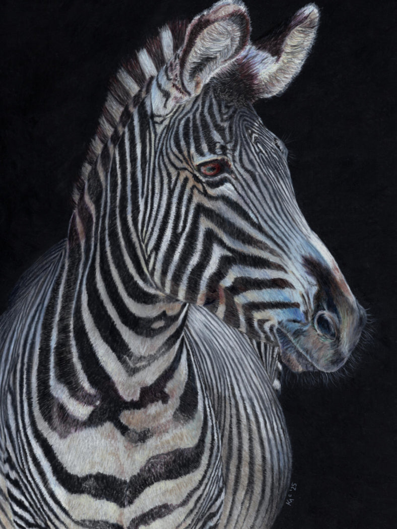 "Twilight Jazz" Canvas Print