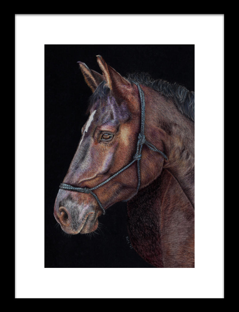 "Unreined Majesty" Framed Fine Art Print