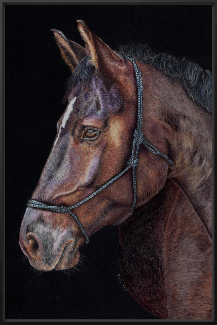 "Unreined Majesty" Canvas Print