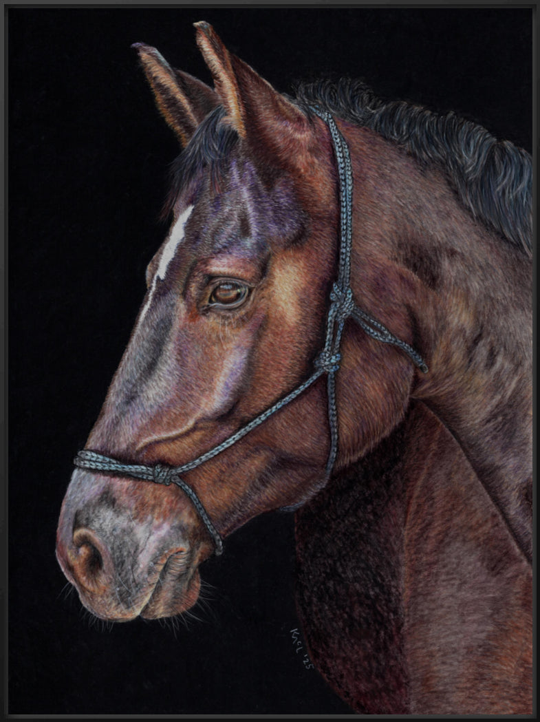 "Unreined Majesty" Canvas Print