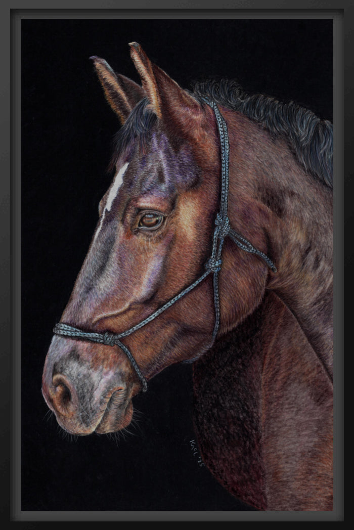 "Unreined Majesty" Canvas Print