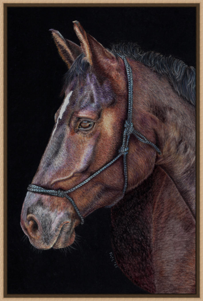 "Unreined Majesty" Canvas Print