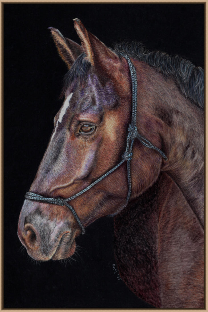 "Unreined Majesty" Canvas Print