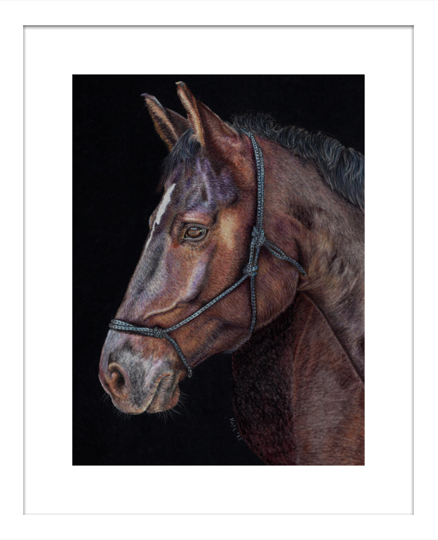 "Unreined Majesty" Framed Fine Art Print