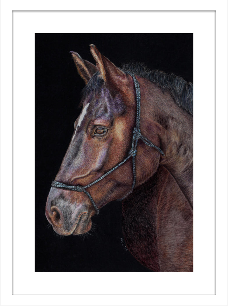 "Unreined Majesty" Framed Fine Art Print