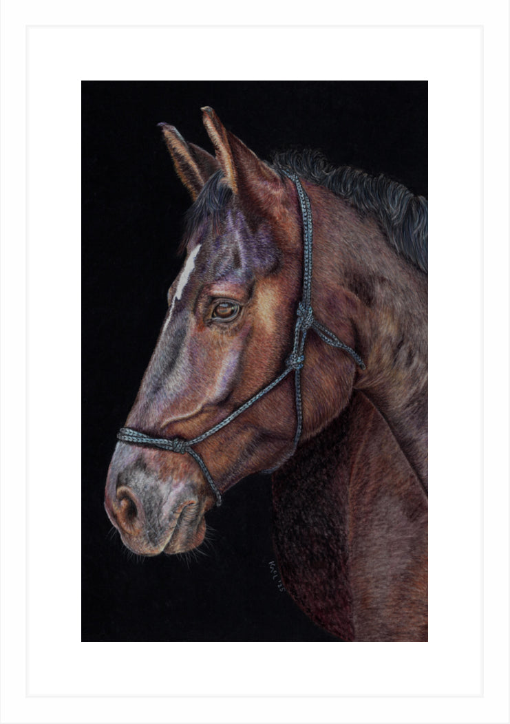 "Unreined Majesty" Framed Fine Art Print