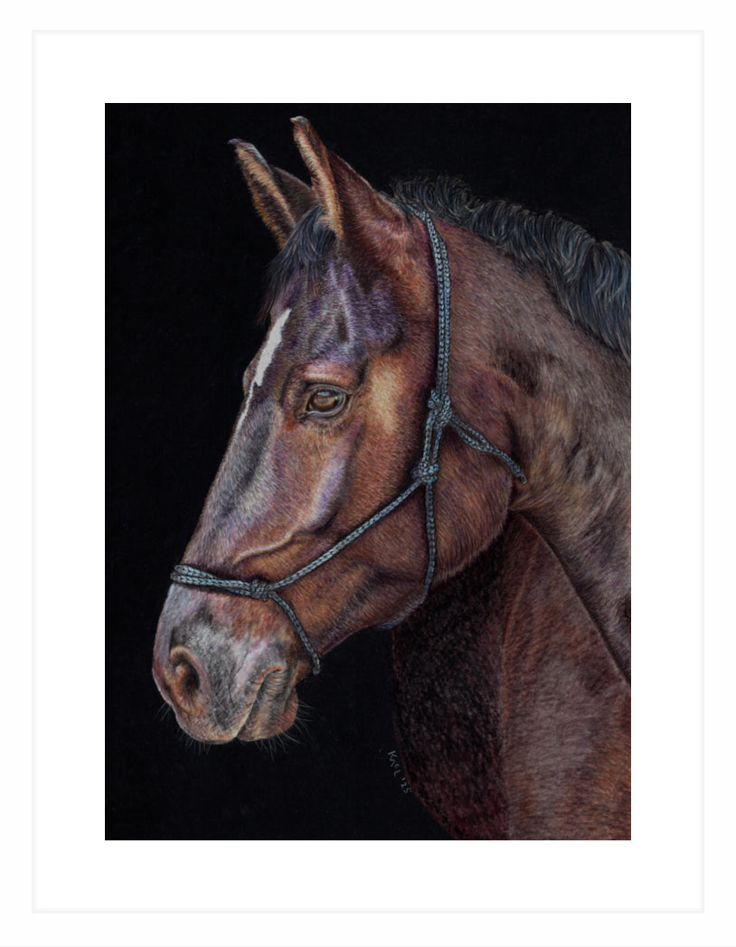 "Unreined Majesty" Framed Fine Art Print