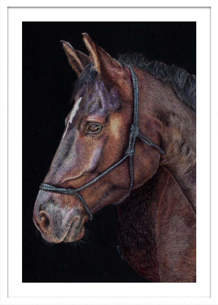 "Unreined Majesty" Framed Fine Art Print