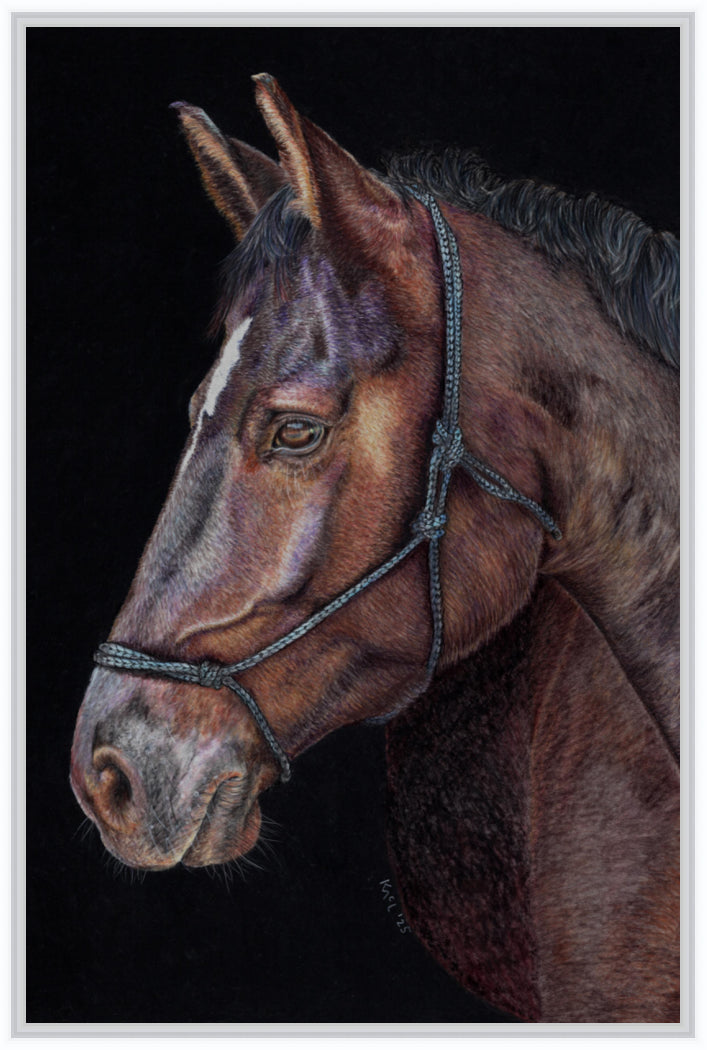 "Unreined Majesty" Canvas Print