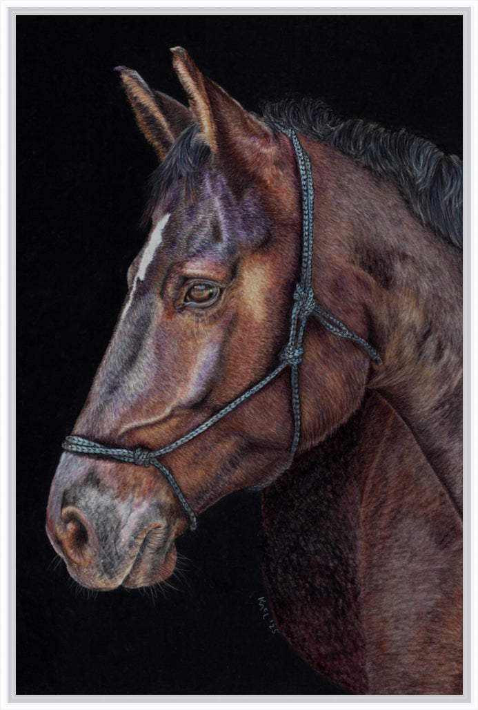 "Unreined Majesty" Canvas Print