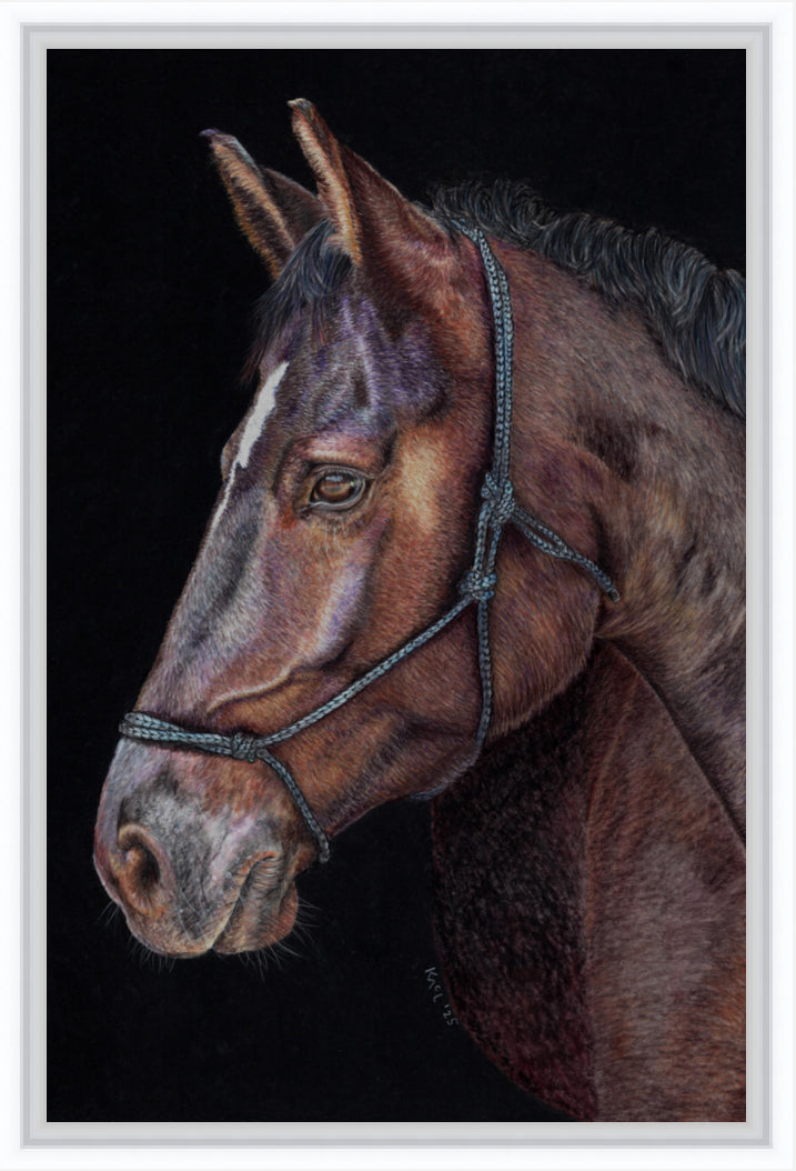 "Unreined Majesty" Canvas Print